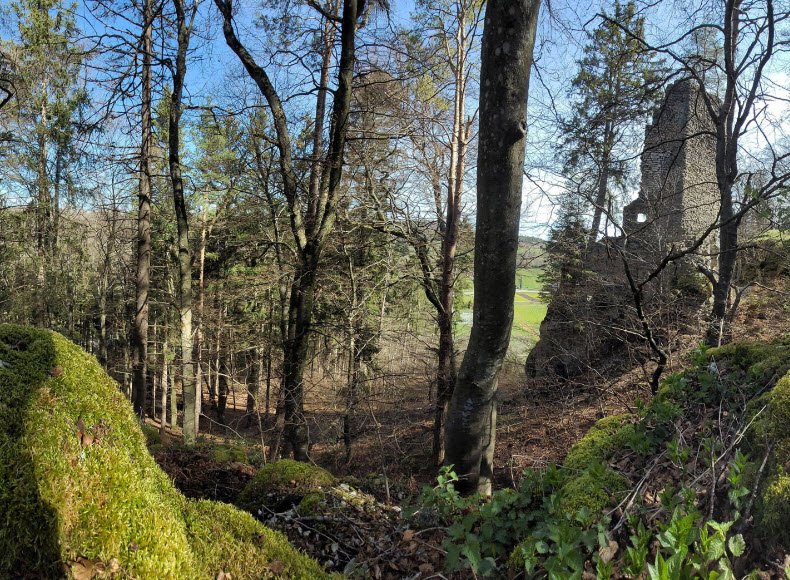 Burg Hohenerpfingen, Germany